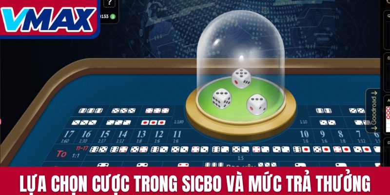 Lựa chọn cược trong Sicbo và mức trả thưởng tương ứng