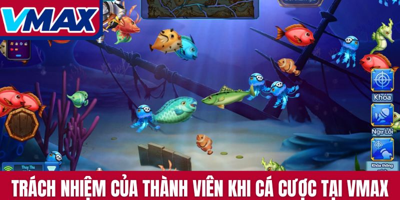 Trách nhiệm của thành viên khi tham gia cá cược tại Vmax